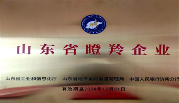 慶祝深藍機器榮獲山東省2021年度“瞪羚企業(yè)”榮譽稱號