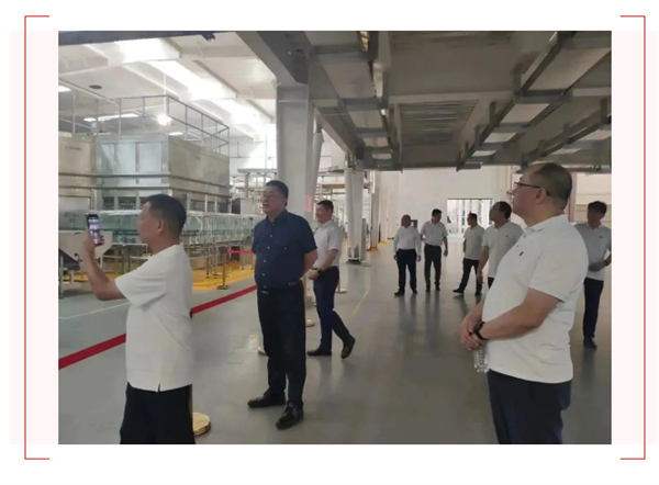 剛玉智能 | 恭賀東莞市珠江啤酒擴(kuò)建工程項(xiàng)目順利投產(chǎn)